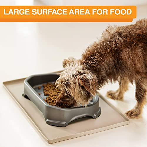 Image of Neater Pet Brands Large Capacity Outdoor Dog Water Bowl for Small Dogs, Cats, Reptiles, Birds, & Small Animals, Outdoor Water Bowls for Dogs (8 Cups), Feed Bowl & Trough, Indoor or Outside, Grey