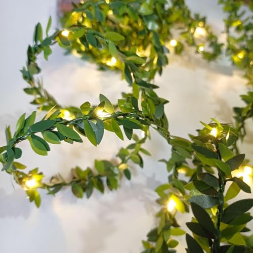 MUCHER 50 Warm White Micro LED Battery Operated Gold Leaf String Fairy Lights 5M Garland Light Ivy Fairy String Lights for Wedding Balcony Wall Bedroom Home Decor (Green)