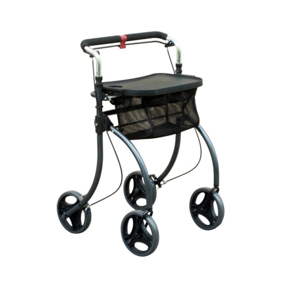 Andador con ruedas RFM interior 1 ST