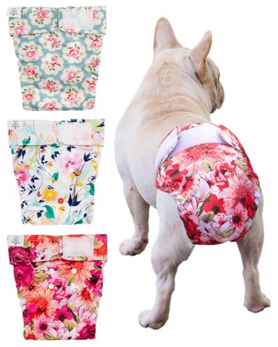 Image of CuteBone Washable Dog Diapers Female No Tail Hole 3 Pack Reusable Doggie Period Training Pants for Docked-Tail Frenchie French Bulldog Boston Terrier Without Tail WWD02L