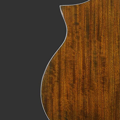MEIeynt Ensemble de démarrage pour Guitare Acoustique pour débutant de 40 po avec étui, Sangle, capodastre, Cordes… - Les Beatles, Paul McCartney, John Lennon, RIngo Starr, George Harrison MEIeynt Ensemble de démarrage pour Guitare Acoustique pour débutant de 40 po avec étui, Sangle, capodastre, Cordes… – Image 7