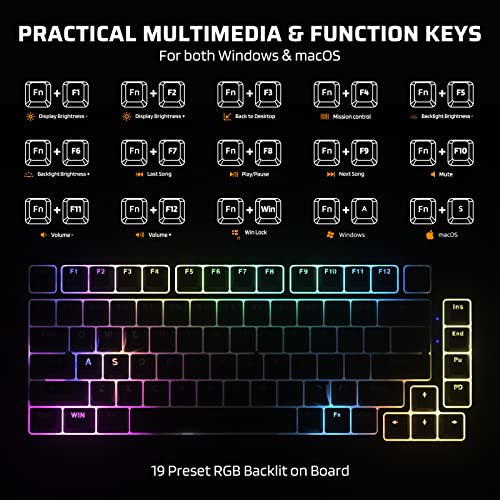 Ltc Nb831 Wireless 75% Triple Mode Bt5.0/2.4G/Usb-C Wired Hot Swappable Mechanical Keyboard, 83-Keys Bluetooth Rgb Compact Gaming Keyboard With Software (Hot Swappable Red Switch, Black) #TOP5