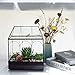 Large Tall Glass Plant Terrarium – House Succulent Terrarium Kit with Lip and Tray Glass Greenhouse Terrarium for Plant 9.5”X5.7”X11.4”