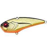 Amazon.co.jp: レイドジャパン レベルバイブ カウンター 017 シッコク