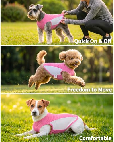 Image of CuteBone Cooling Stretch Sport Dog Tank - Athletic Fan Pet Jersey - Color Block Pet Vest for Small Dogs, Cats