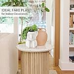 Oairse Artificial Succulents in Ceramic Pots, Realistic Faux Plants, Indoor, White and Green, 1 Inch