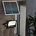 REPLOOD Faro Led Con Pannello Solare Crepuscolare + Telecomando IP67 25W 40W 60W 100W 200W (100)