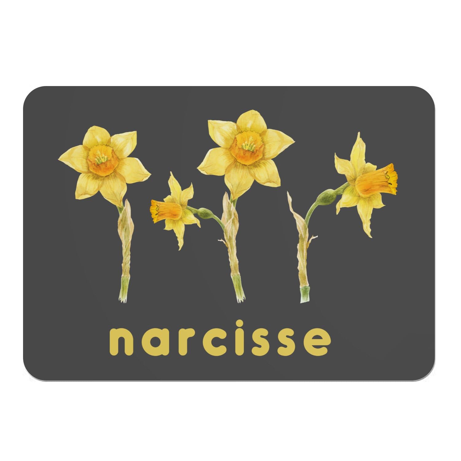 Napperons noirs fleurs de Narcisse pour table de jardin 4pcs