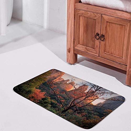 Tapis de bain antidérapant en velours de corail absorbant l'eau et lavable