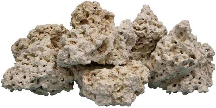Worldwide Imports AWW0855 Atlantic Coral Rock, 40-Pound