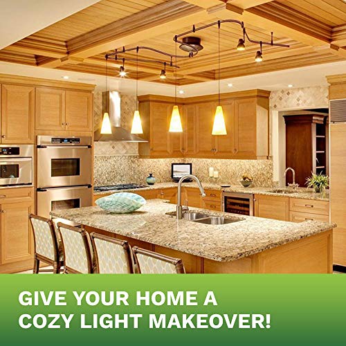 Bioluz Led 94 Cri T10 Led Bulb 40W (Uses Only 5W) E26 Base Filament Bulb Soft White 3000K T10 Led Edison Bulb Works With Dimmable Or Non-Dimmable Ul-Listed Title 20 High Efficacy Lighting 6-Pack #TOP5