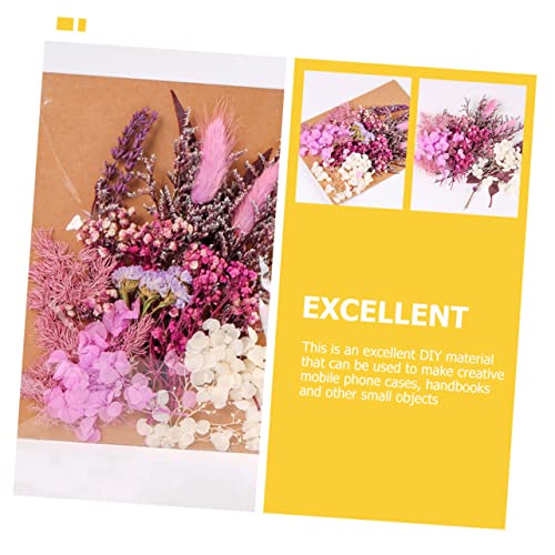 Kit de Flores Secas DIY para Manualidades y Decoración miniatura 3