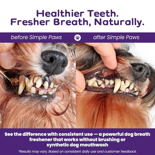 Image of Dog Dental Powder for Teeth Cleaning - Dental Powder for Dogs Teeth | Prevent Dog Bad Breath with Probiotics for Fresh Breath & Oral Health - Chicken Flavored, 60 Scoop Supply