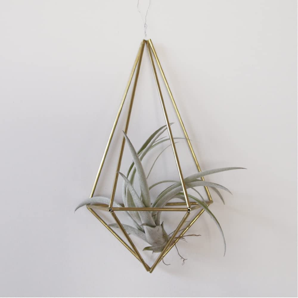 Amazon | ［ソラニワ］真鍮 ヒンメリ 手作りキット 壁掛け タイプ1