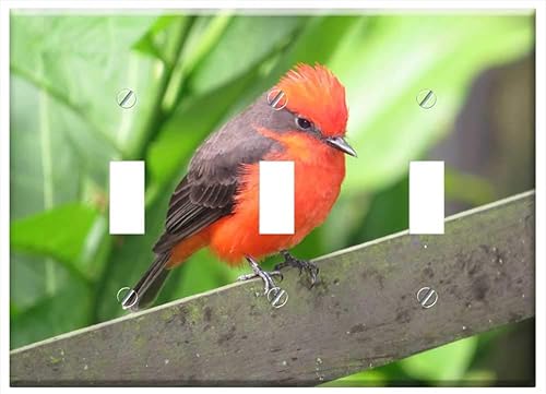 Switch Plate Triple Toggle - Landscape Rural Area Kettle Armenia Quindio