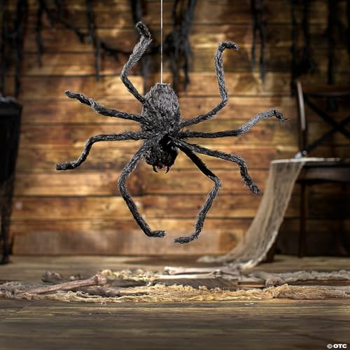 Halloween Express 31 1/2