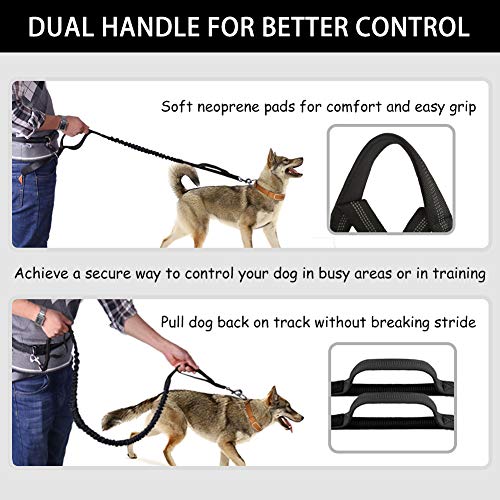 image for LANNEY Hands Free Dog Leash, Waist Running Leash with Zipper, Walking 