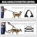Hands Free Dog Leash, Waist Running Leash with Zipper, Walking Pouch for Medium Large Dogs, Dual Handle and Retractable Bungee for Training Jogging Hiking