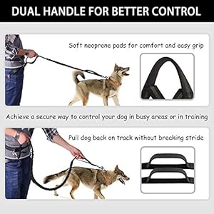   Hands-Free-Dog-Leash-Waist-Leash-for-Dog-Walking-Running-Leash-with-Zipper-Pouch-for-Medium-Large-Dogs-Dual-Handle-and-Retractable-Bungee-Hands-Free-Leash-for-Training-Jogging-Hiking