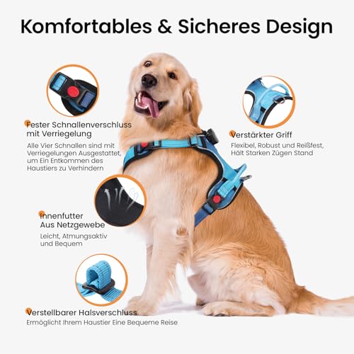 DAISTERN von BSWAY LED Hundegeschirr Größe S mit Griff, Aufladbares Leuchtendes Hundegeschirr, Brustgeschirre Hunde mit 3 Blinkmodi, Reflektierende Streifen für kleine und Mittelgroße Hunde