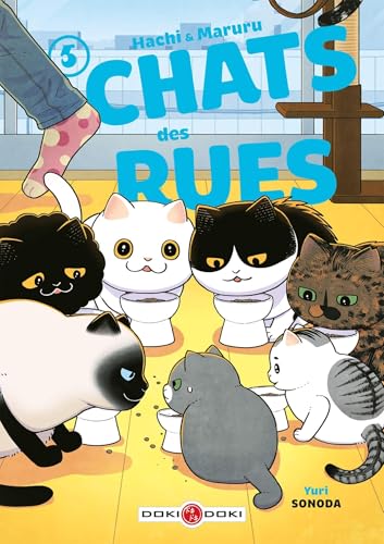 Hachi &amp; Maruru - Chats des rues - vol. 05