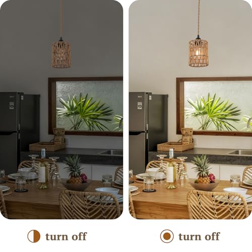 Pantalla de cristal para lámpara de techo para crear un salón cálido 5