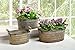 Produktbild Dekoleidenschaft 3er Set Metallwannen im Antik-Design, Pflanzkasten Blumenkübel