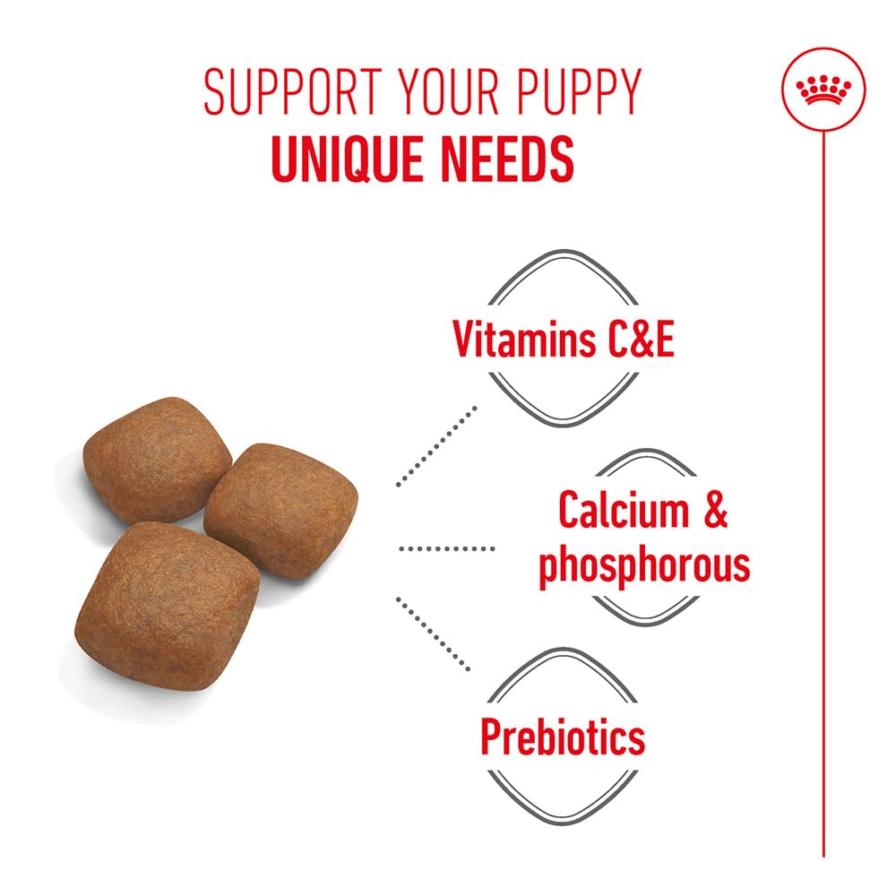Royal Canin Giant Junior 15 kg : Amazon.co.uk: Pet Supplies