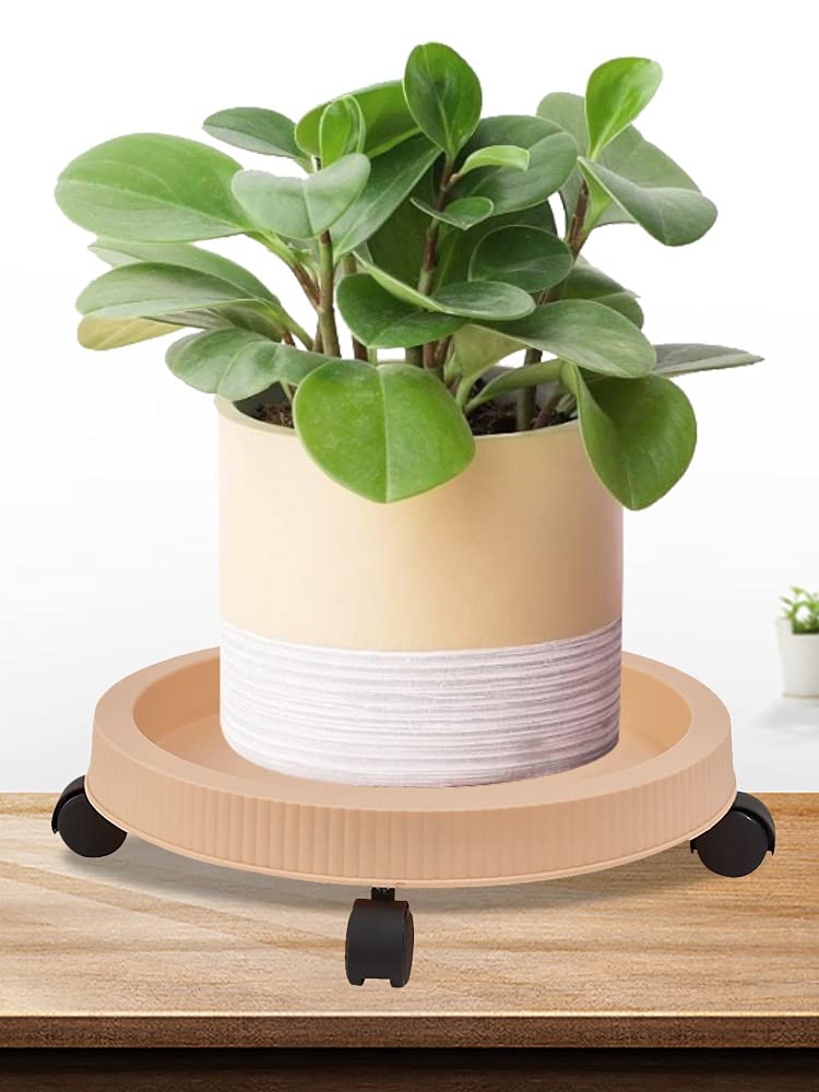 Bonsai Wklęsły Nóż, 210mm Profesjonalna Obcinaczka do Gałęzi Ogrodowych Narzędzie Bonsai, Narzędzie do Cięcia Bonsai Początkujące Narzędzie do Przycinania Gałęzi Drzewa