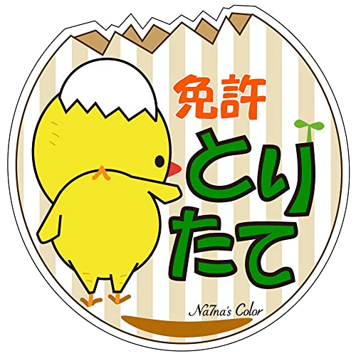 Na7na's Color 車 マグネット ステッカー 免許とりたて 初心者マーク 耐水 UVカット 14.8cmのサムネイル