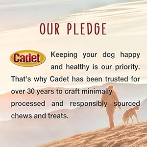 Cadet Premium Grade Beef Hide for Dogs, Long-Lasting Munchy Chew Sticks, Single-Ingredient Rawhide Dog Chews, 5-Inch, 100 Count Cadet Premium Grade Beef Hide for Dogs Long Lasting Munchy Chew Sticks Single Ingredient Rawhide Dog Chews 5 Inch 100 Count