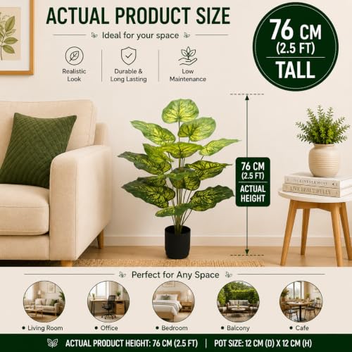 Image of Cocco.BUA Artificial Plant with Black Pot, 18 Leaves, 76 CM (2.5 Feet) (Dieffenbachia Leaf Plant)