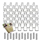 EIN TOLLES GESCHENK - Sie sind noch auf der Suche nach einem praktischen und gleichzeitig individuellen Geschenk? Dann sind Sie hier genau richtig. Unsere Flaschen kann man wunderbar verschenken. Ob befüllt oder leer, sie sind immer ein Hingucker. Die Flaschen können ebenso als Vase oder zur Dekoration benutzt werden.