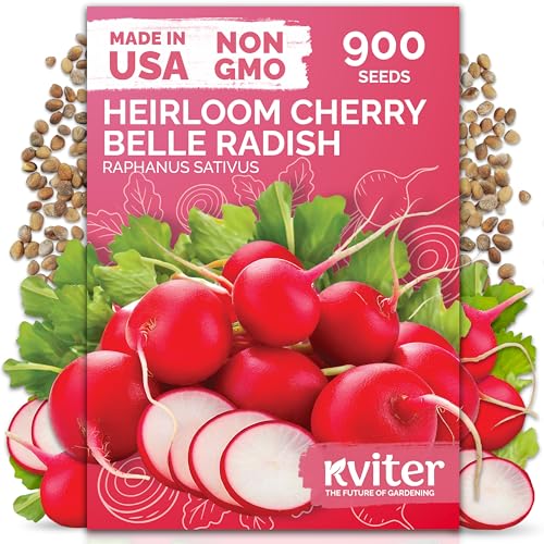 KVITER 900 Cherry Belle Radish Seeds (Raphanus sativus) - Non-GMO Vegetable Seed Packet, Crisp Mild...