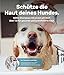 PetTec® - Hundeshampoo sensitiv mit Aloe Vera 500ml Pumpflasche - pH neutrales (7) & rückfettendes Shampoo für alle Hunderassen - Fellpflege Hund Paraben-, Silikon- & Duftstofffrei - Dog shampoo vegan