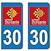 SupStick 2 STICKERS AUTOCOLLANT PLAQUE IMMATRICULATION DEPARTEMENT DU GARD 30 REGION OCCITANIE