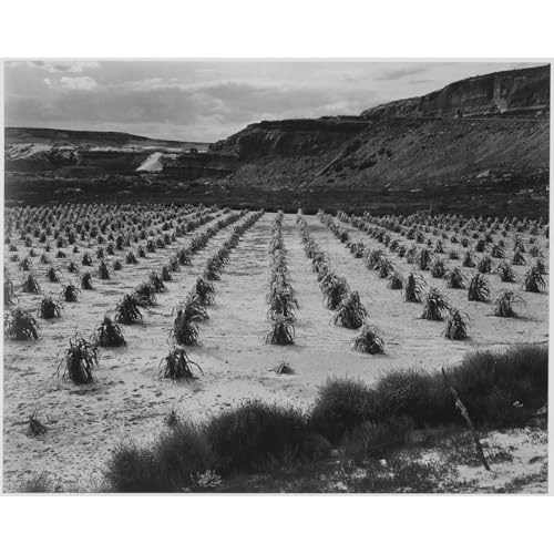 Impression sur toile Adams pour sublimer votre décoration de maison