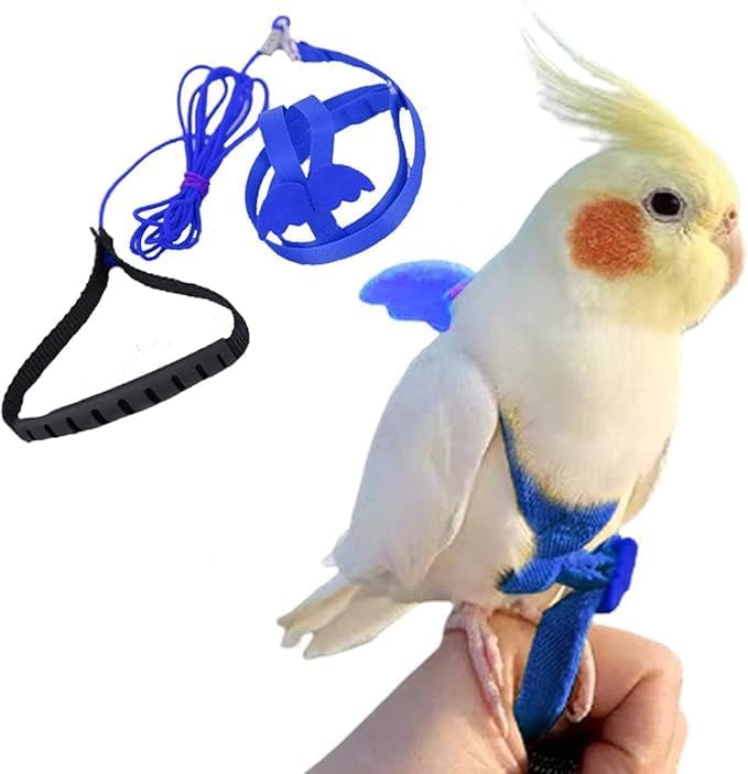 Parrot Harness for Budgies | Adjustable Satin Polyester Bird Harness with Metal Wing Clips | Safe Outdoor Flight & Training Leash for Cockatiels & Small Birds (Blue) (Blue)