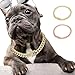 Rhinestone Gold Dog Chain Collar - Strong Metal Choke for Small, Medium, and Large Dogs Bling Pet Slip Pitbulls Bulldogs(Sliver,55cm-22inch)