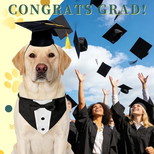 Disfraz de graduación para perro con gorro y pajarita miniatura 5