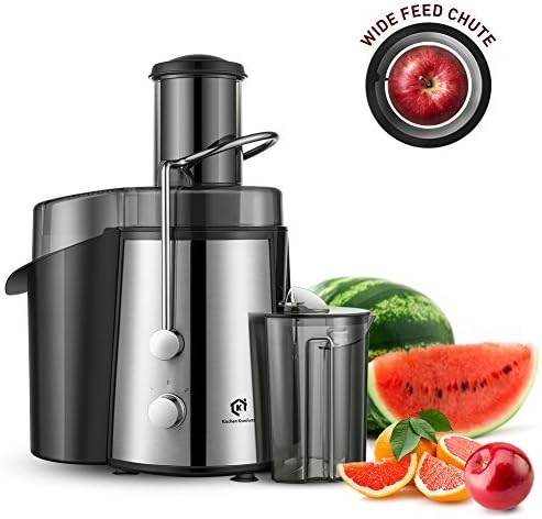 Professional Juicer Juice Extractor