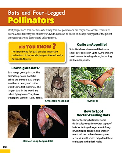 World of Pollinators: A Guide for Explorers of All Ages: Fun Projects, Over 600 Amazing Facts About Plants, Bees, Beetles, Birds, and Butterflies (Creative Homeowner) Outdoor Activities for Kids 8-12 - Image 10