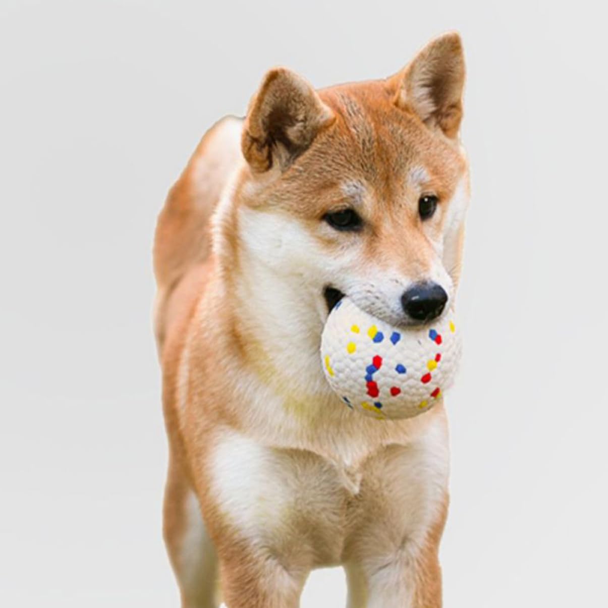 Mipcase 6 Uds Pelota Hinchable Juguetes para Mascotas Juguetes para Perros Pequeños Juguetes para Perros Ejercicio para Mascotas Masticador Juguetes para La Dentición para Cachorros