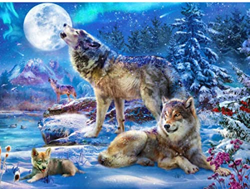 Peinture au diamant 5D lune et loup broderie diamant 30x40 cm