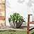 PSW Arcadia Garden Products Simplicity Square