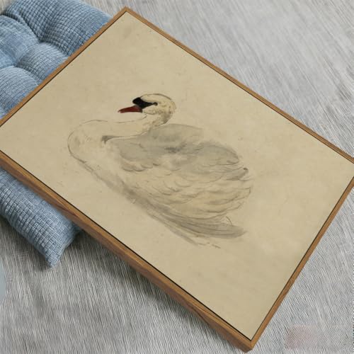 Image of KISSFOX Framed Wall Art Vintage Wall Decor Swan Pictures Retro Animal Canvas Art Rustic Aesthetic Paintings Farmhouse Artwork For Bedroom Living Room Kitchen