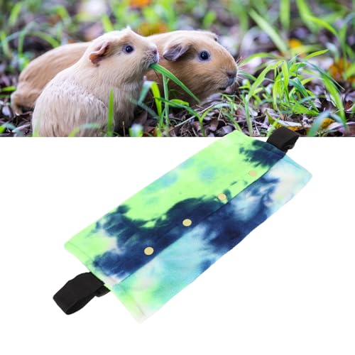 Mochila portabebés para dragón barbudo y correa ajustable 6