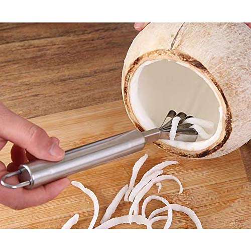 Teamnigt 1 Pcs Stainless Steel Coconut Meat Slicer Scraper Fish Scales Removal Scraper Fruit Vegetable Grater Kitchen Peeler Tool #TOP1