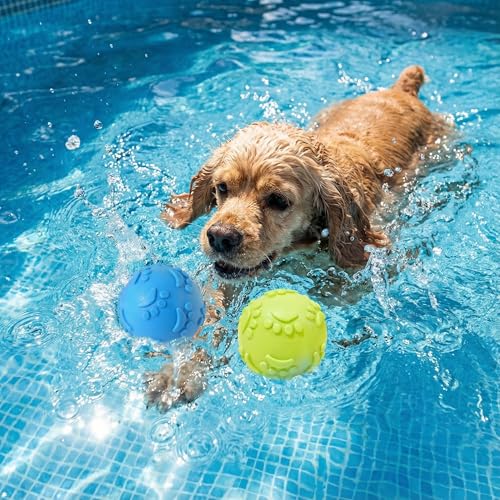 BRRDAQU 3 Stück Hundespielzeug Ball Unzerstörbarer Hundeball 6 cm Quietschball aus TPR Hund Kauspielzeug Schwimmfähig für Pool Training für Mittelgroße Und Kleine Hunde(Blau Rosa Grün)