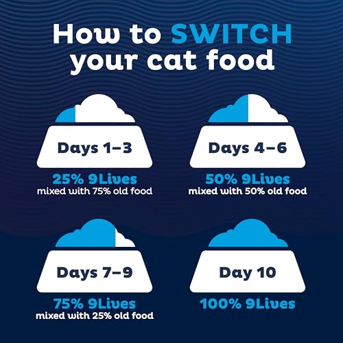 9Lives Indoor Complete Dry Cat Food, 20 lb. Bag